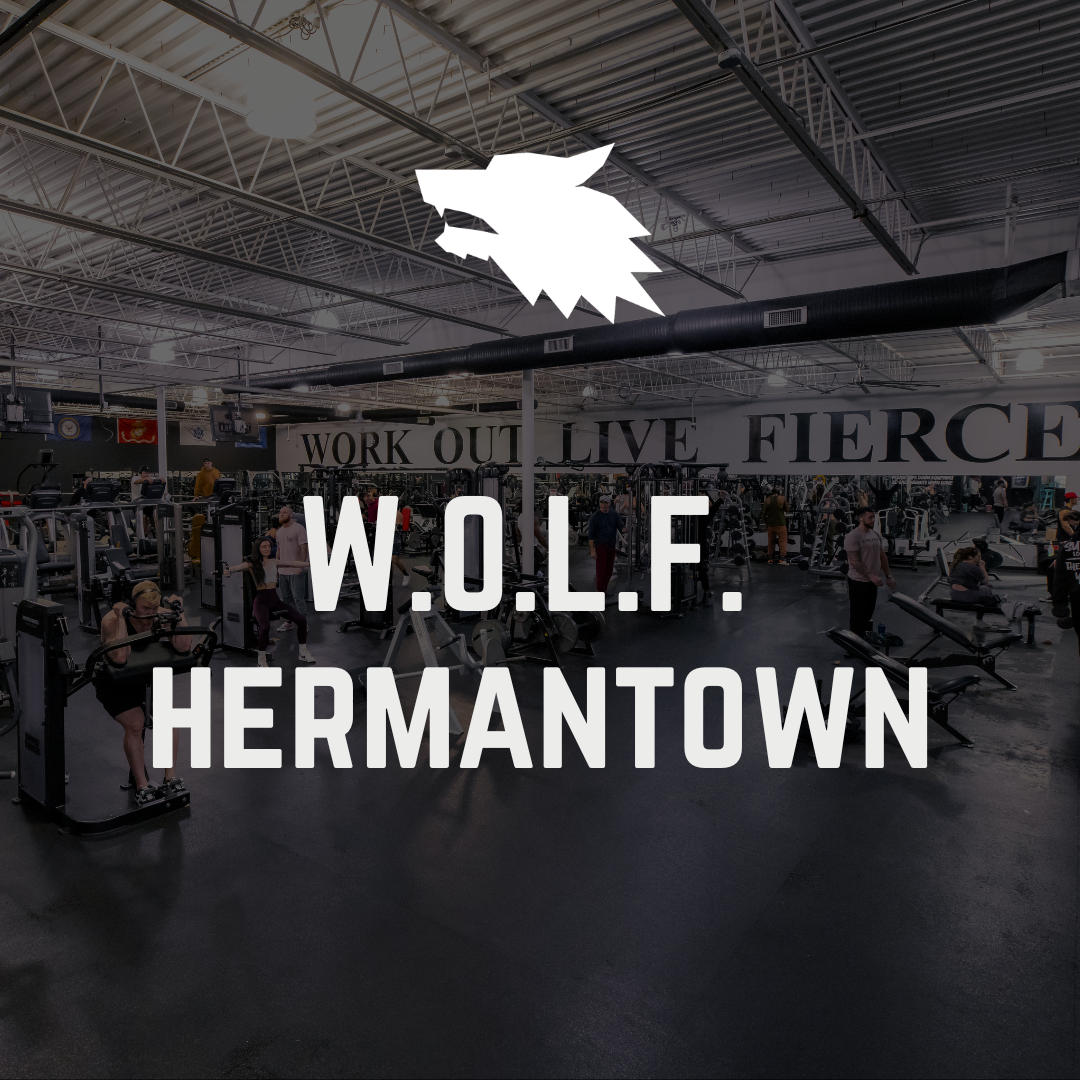 W.O.L.F. Gym Hermantown