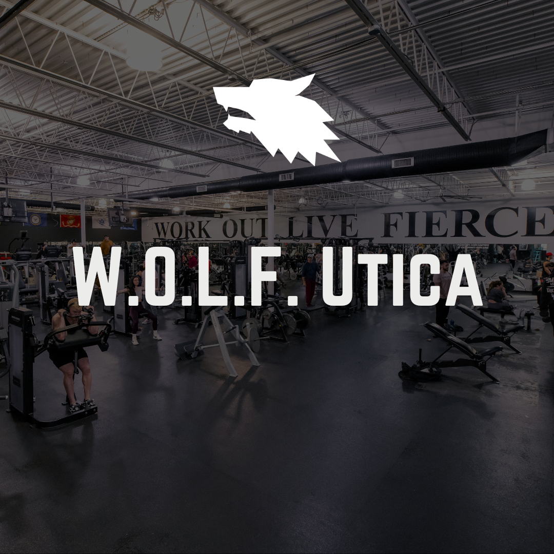 W.O.L.F. Gyms Utica